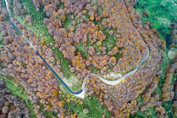 Aerial view of the Woods in autumn in the abruzzo National Park. road through the trees 