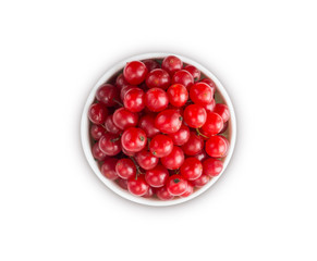 Viburnum isolated on white background cutout. Viburnum in a bowl with copy space for text. Top view.