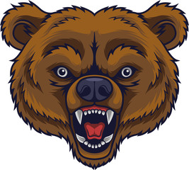 Angry bear head mascot