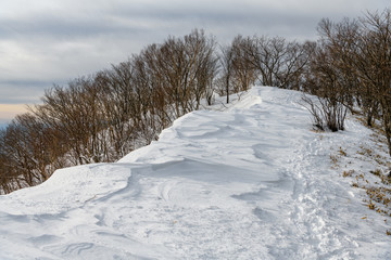 Fototapeta na wymiar 赤城山の冬の登山道