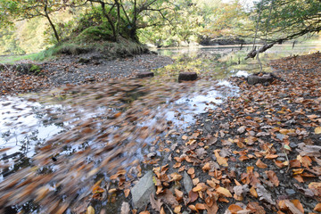 River Lerryn Cornwall