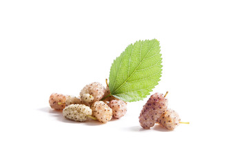 Heap of white mulberry fruit with leaf isolated on white.