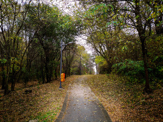 Fototapeta premium Beautiful autumn landscape in the park after rain with amazing colors. Memorial park Sumarice, Kragujevac, Serbia.