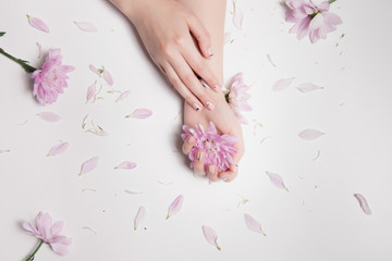 Fototapeta na wymiar FAshion composition. One female hand with beautiful light manicure lies other, which is pink flower bud, and petals are neatly scattered