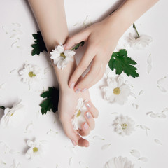 Obraz na płótnie Canvas Fashion art skin care and white chamomile chrysanthemums with green leaves in hands of women. Creative beauty photo, sitting at table on light