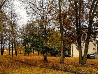 Beautiful autumn landscape in the park after rain with amazing colors. Memorial park Sumarice, Kragujevac, Serbia.