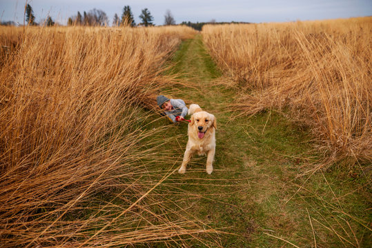 Smiling boy being dragged through a field by his dog, United States