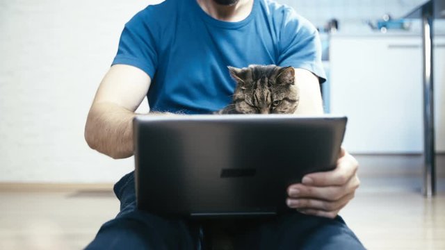 Person and the cat looking at laptop computer 4K. Long shot of a cat on person lap in focus looking at computer screen. Headless person sit on the flor with cat.