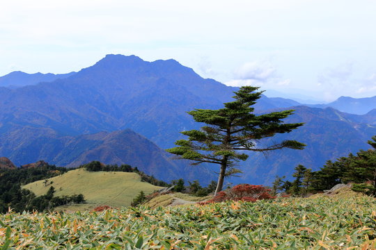「西条市」の写真素材 5,323件の無料イラスト画像 Adobe Stock