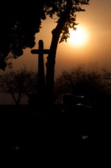 soleil et ombre dans un cimetière