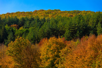 Colorful autumn landscape. Carpathian mountains, Romania, Europe.