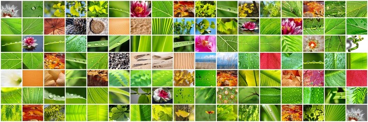 COLLAGE O MOSAICOS. TEXTURAS DE LA NATURALEZA