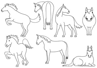 cute horse doodle drawing set