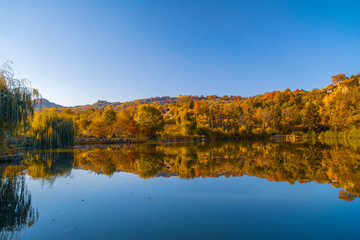 Beautiful landscape Autumn forest and lake in the fall season.