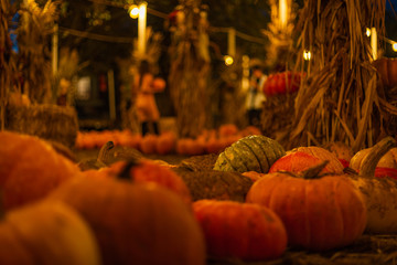 pumpkin patch
