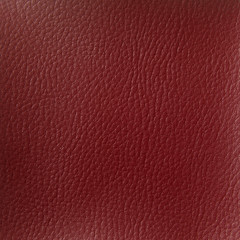Texture pelle