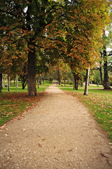 Fototapeta na wymiar First colors of autumn in the park