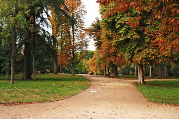 First colors of autumn in the park