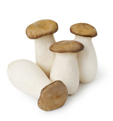 Group of King Oyster mushrooms