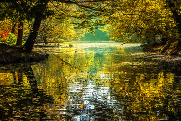 Treelined lake in autumn, Parco di Monza, Monza, Italy