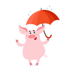 Cute pig with red umbrella isolated on white.