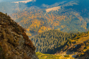 View of the autumn mixed forest from the top of Mount Pip Ivan on the Ukrainian-Romanian border in...