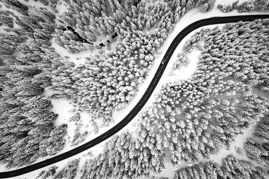 Aerial view of road winding through snow covered forest