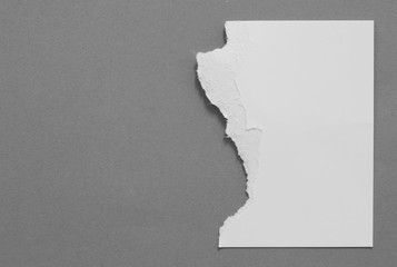 Torn paper background, empty space for text.