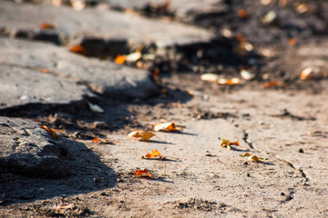 The removed layer of asphalt in the fall