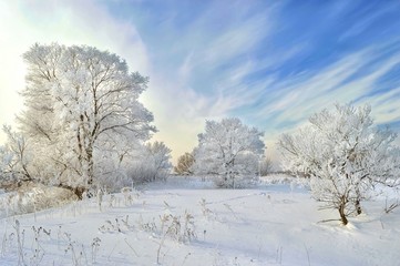 Obraz premium Magic of winter. Khabarovsk, far East, Russia.