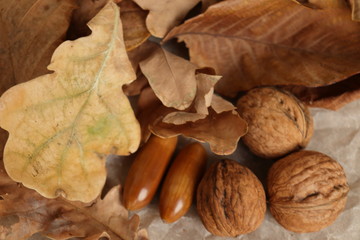 Nuts and leaves