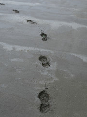Human footprints in fresh concrete, construction site