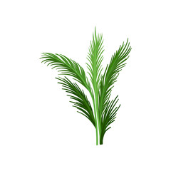 Young palm tree with green pinnate leaves. Tropical plant. Flat vector element for advertising banner or flyer of beach resort
