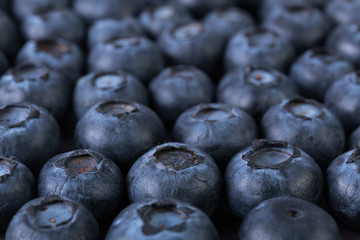 Blueberry background. Fresh juicy berries. Delicious and healthy food. Angle view