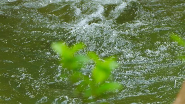 A fast foam river creates foam on the threshold