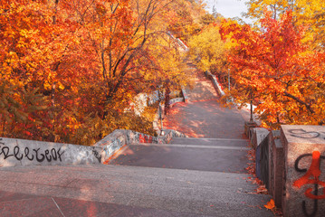Stone stairs in the autumn garden