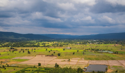 Thailand is a agricultural country.There are many rice fields with the green area.