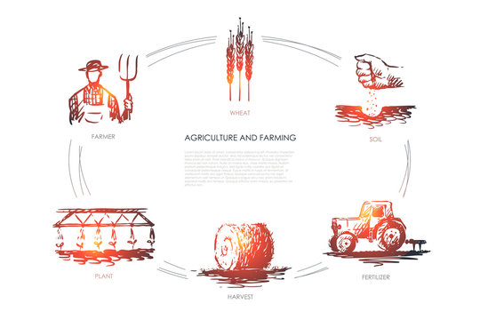 Agriculture And Farming -farmer, Soil, Wheat, Plant, Harvest, Fertilizer Vector Concept Set