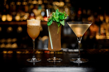Set of classic cocktails: Dirty Martini, Sherry Cobbler, Brandy Crusta