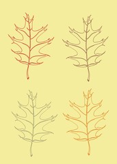 Red oak leaves on a yellow background