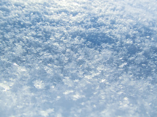 Snow texture with snowflakes close-up. Beautiful winter and Christmas background. Blue macro image of an abstract snowdrift.