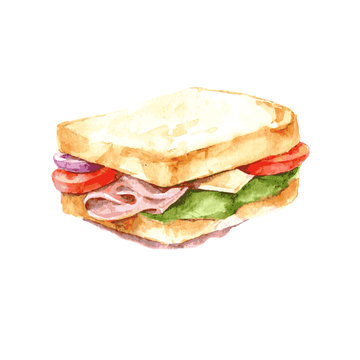 Ham, cheese and vegetable sandwich illustration. Watercolor. Isolate. Vector