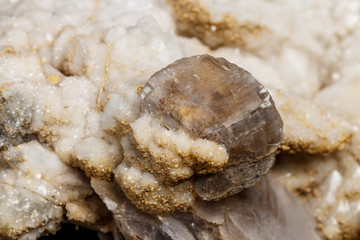 Macro mineral stone Snow quartz with calcite on a black background