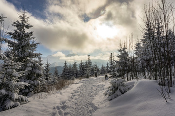 Winter landscape in the Polish Tatra Mountains.