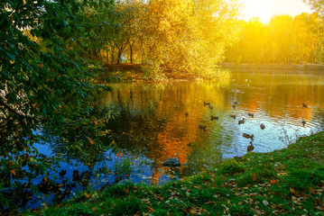 Server room center exchanging cyber datas and connections