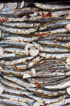 Boquerones (marinated sardines, Spain) on a baking tray