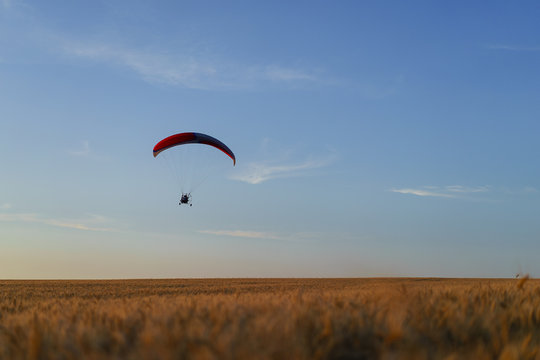  Paraglider Flying In The Sky