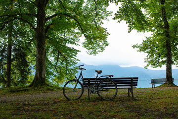 Old bike and Wooden bench by the lake and blue sky next to the trees