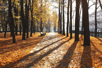 Warm sunny day in park with path full of fallen golden leaves, benches and shadows from the trees