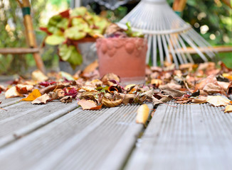 close on dry  leaves on the floor of a wooden terrace in autumn